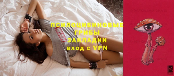 экстази Переславль-Залесский
