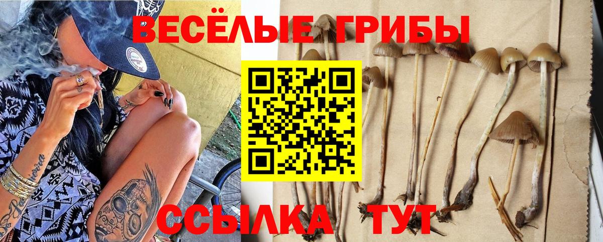 Псилоцибиновые грибы Psilocybe  Вход с VPN  Шарыпово  Галлюциногенные грибы Magic Shrooms 
